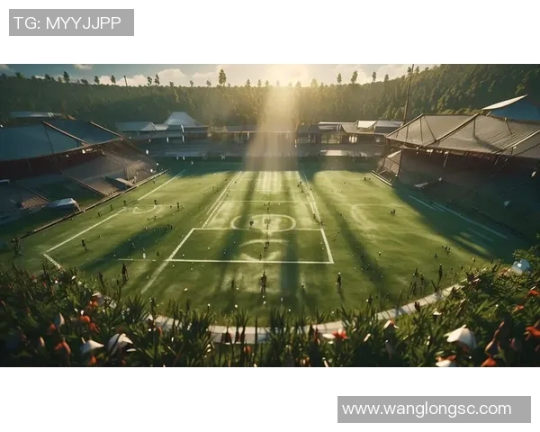 探索6寸足球的魅力与技巧提升之路让你在球场上尽显风采